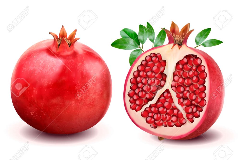 Гранат растр