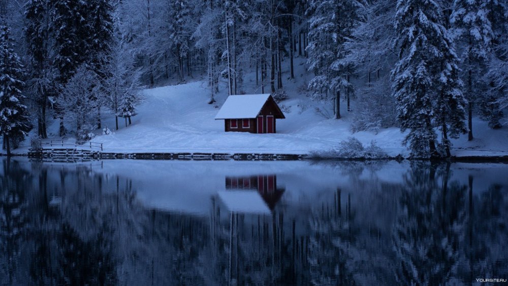 Дом в лесу зимой