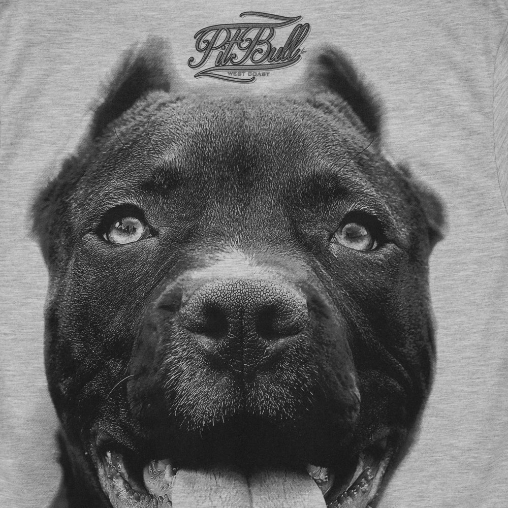 Pitbull West Coast ir