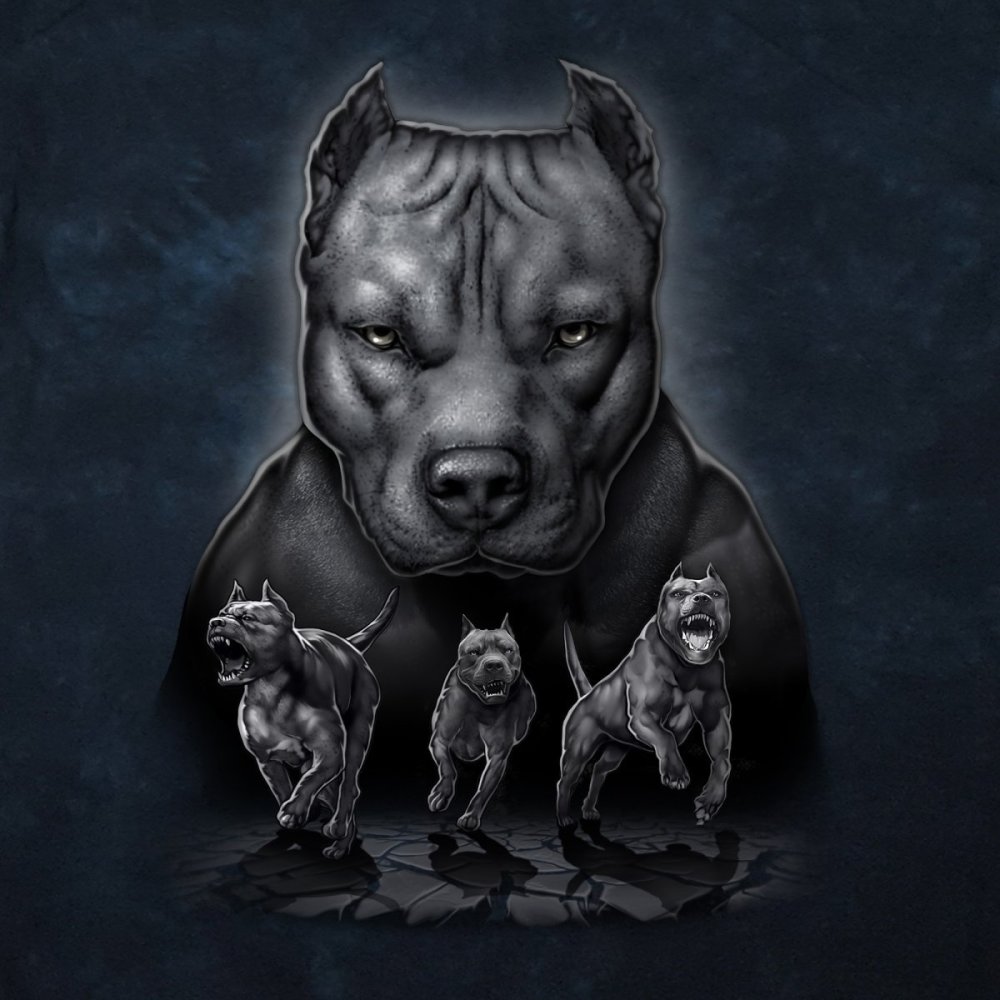 Черный питбуль арт