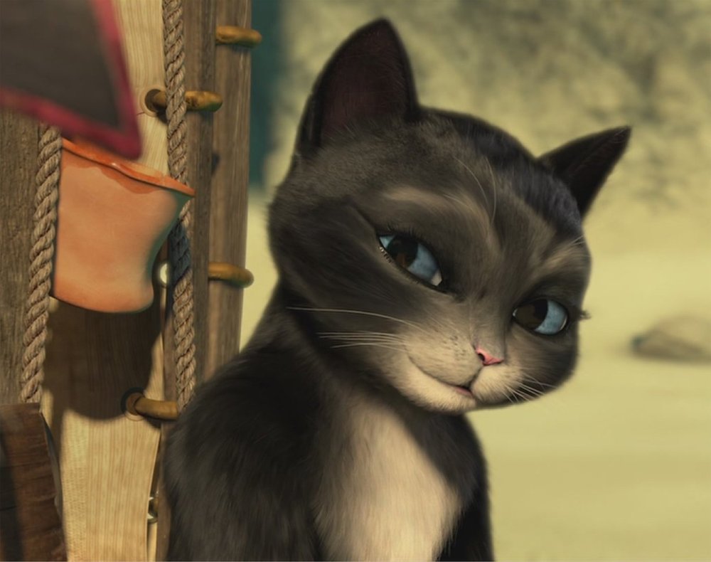 Кот в сапогах кошка мягколапка