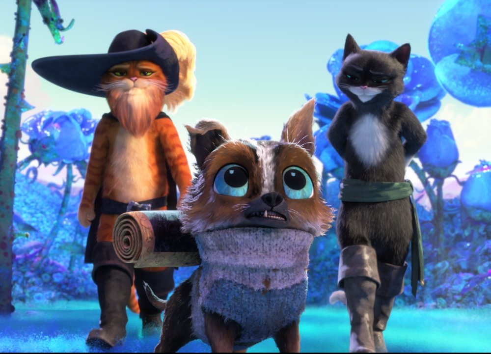 Сальма Хайек киса мягколапка