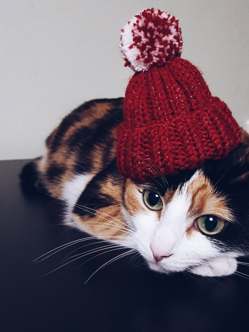 Шапка 'кошка'