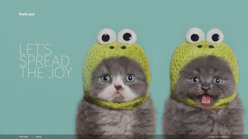 Кот в шапочке с глазами