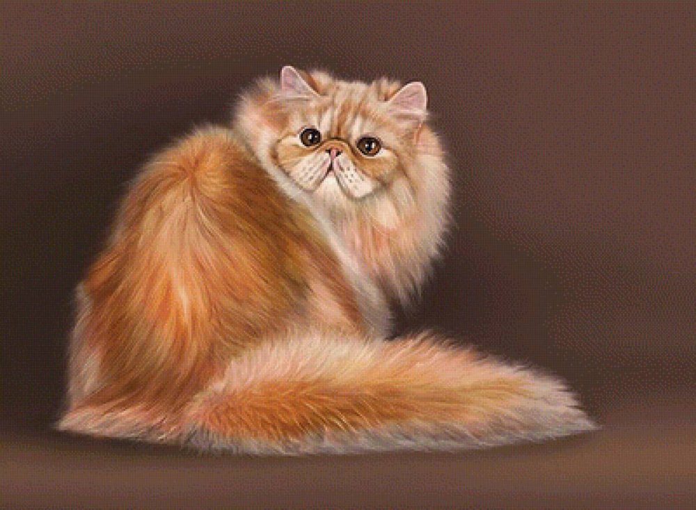 Картины кошки персидские