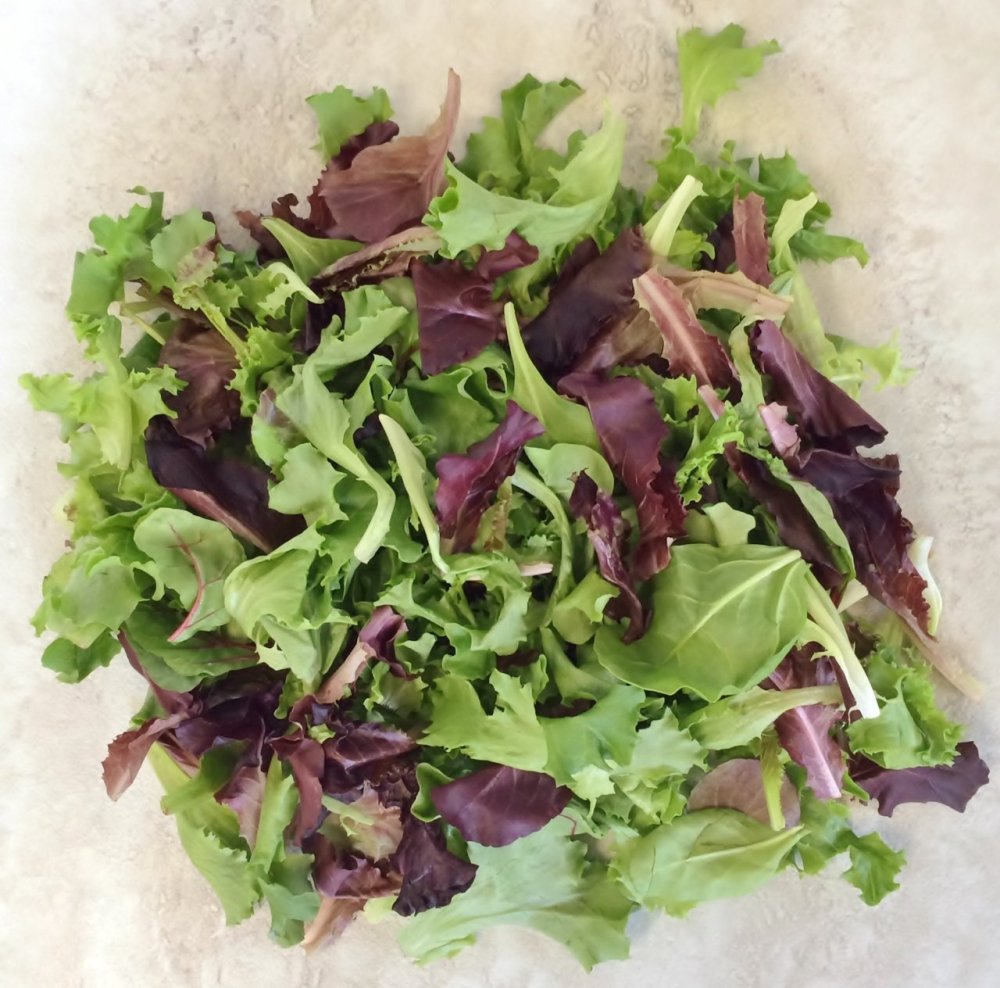 Микс зелени базилик руккола