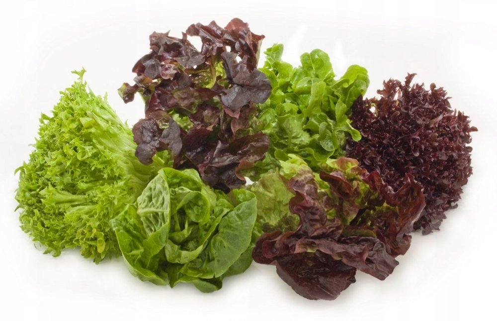 Фиолетовый салат