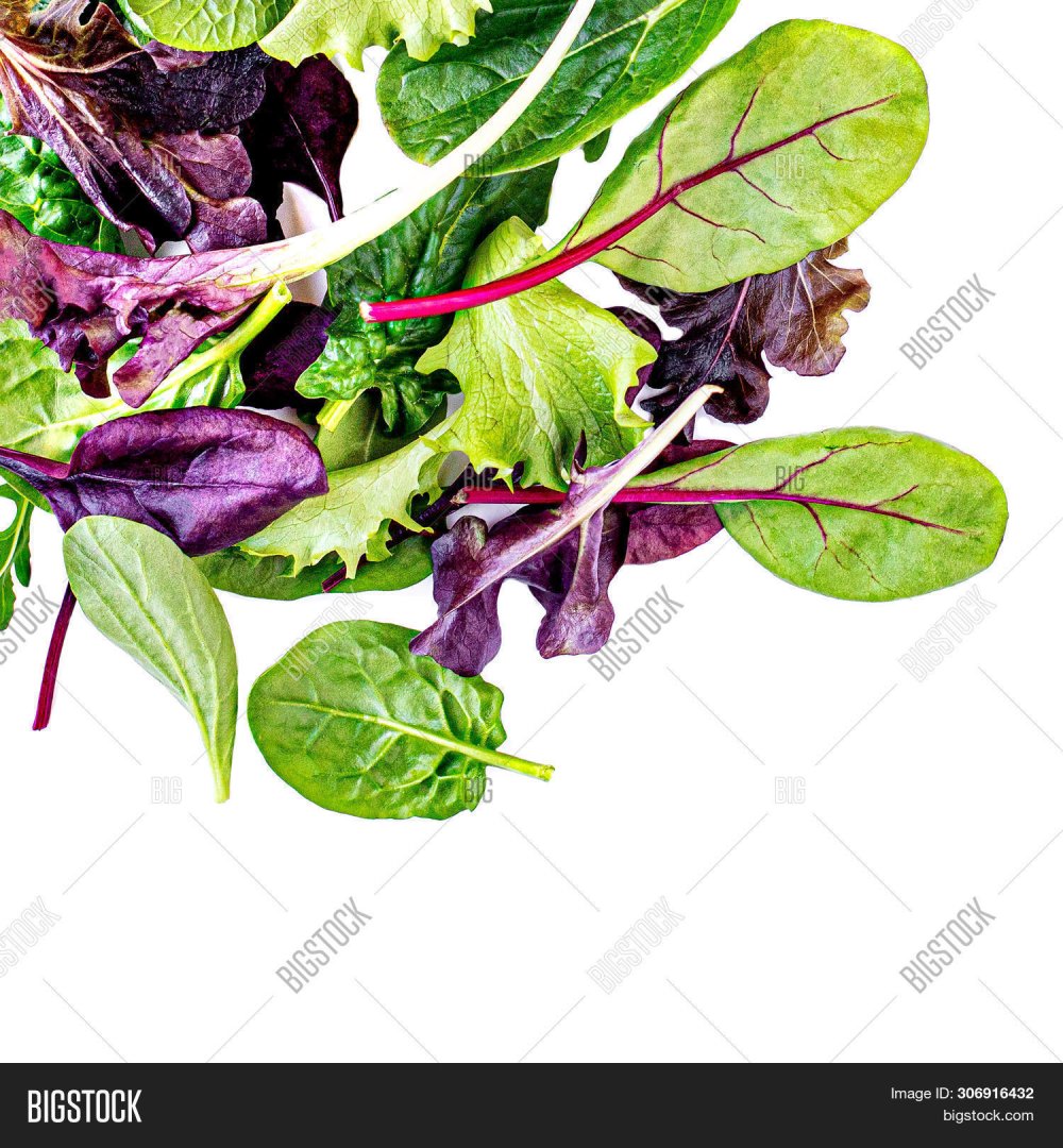 Листья салата летающие