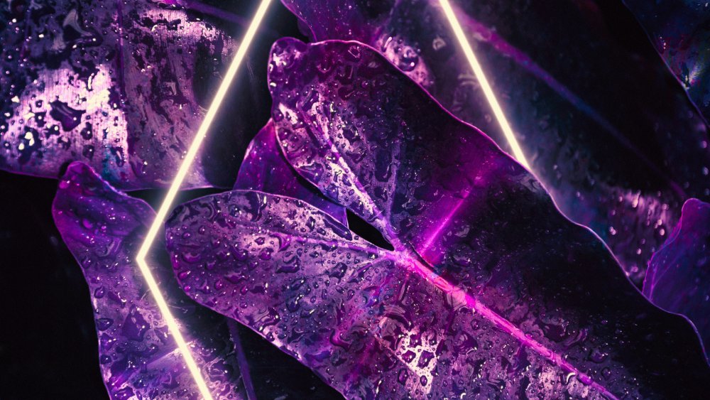 Рабочий стол