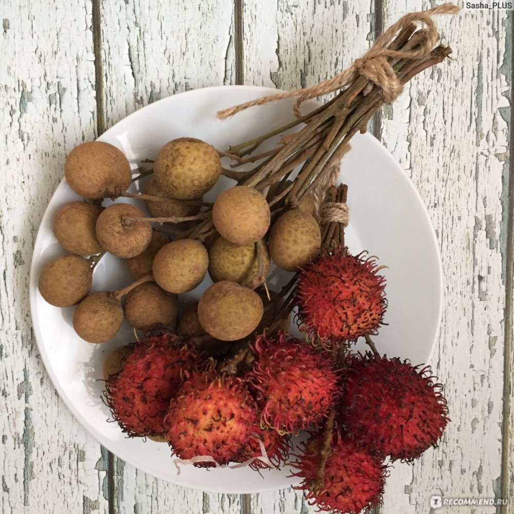 Рамбутан лонган