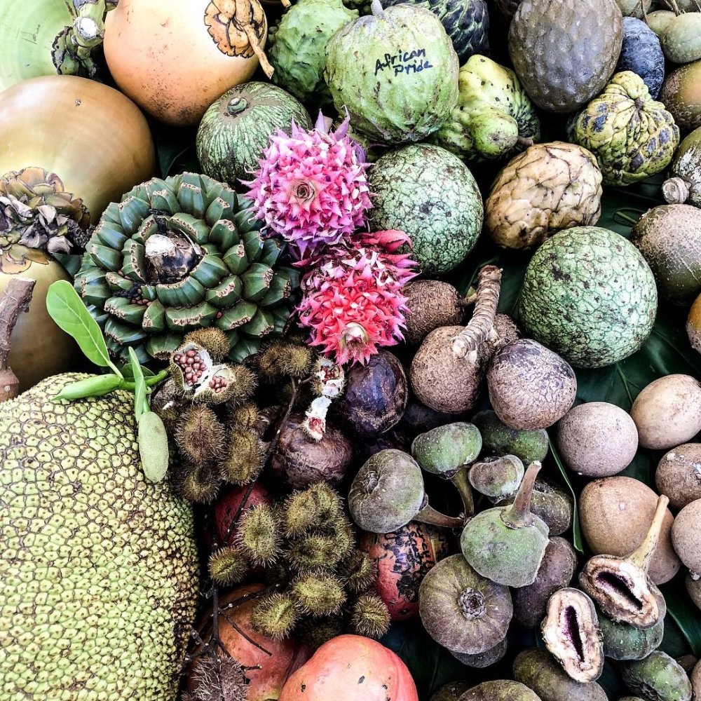 Жгучий рамбутан