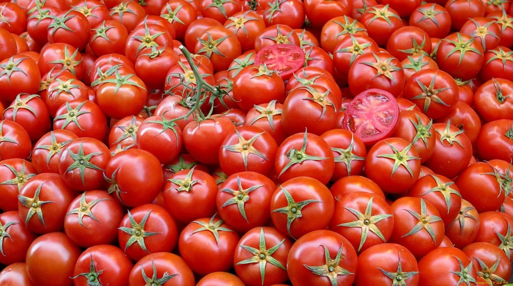 Помидоры на рабочий стол