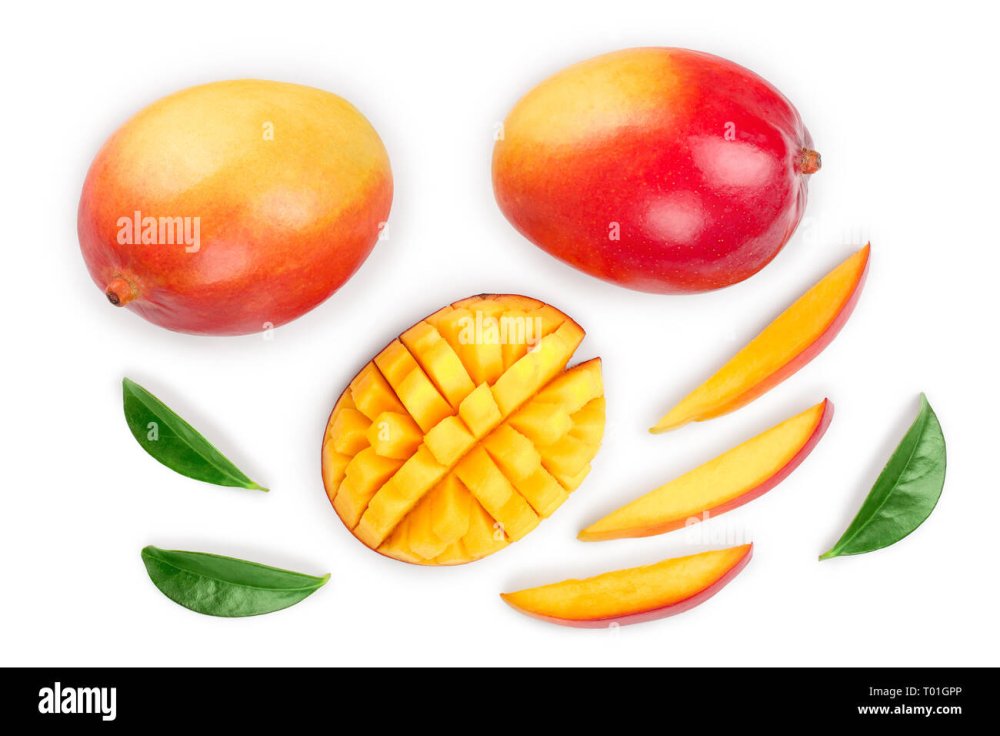 Манго вектор вид сверху