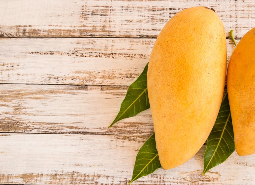 Манго на фоне дерева