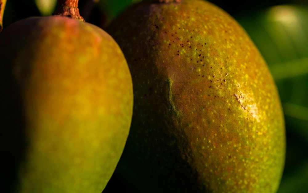 Манго Макросъемка