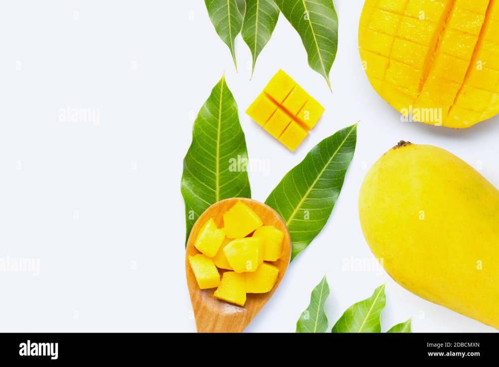 Фон для сторис манго