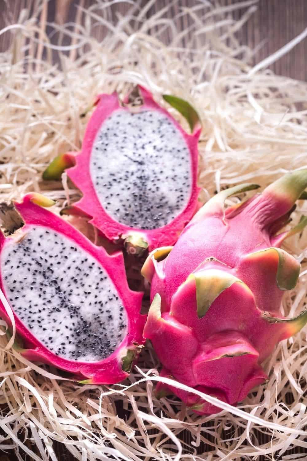 Жила с драконом фруктом