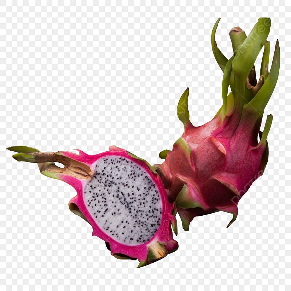 Кертис с драконьим фруктом