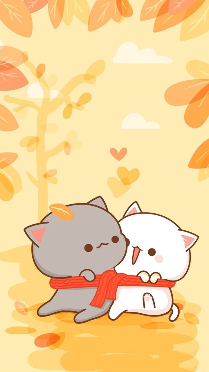 Кавайные котики любовь