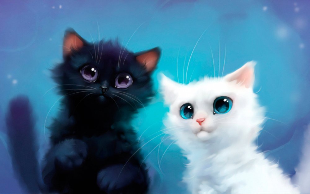 Парные обои на телефон