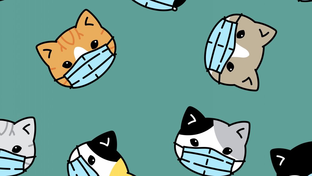 Милые котики обои