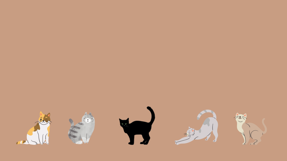 Обои на ноутбук кошки