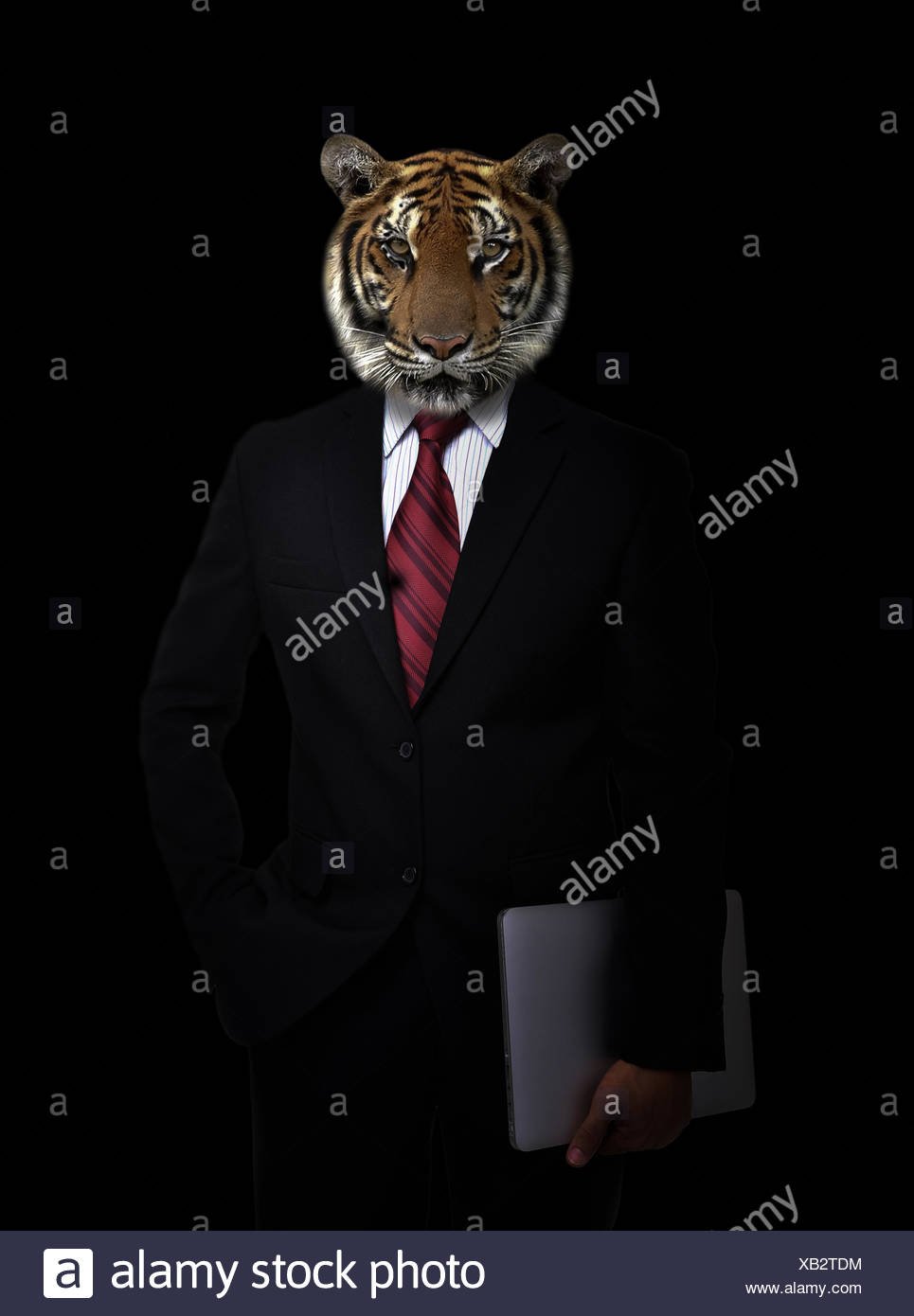 Человек в костюме с головой тигра