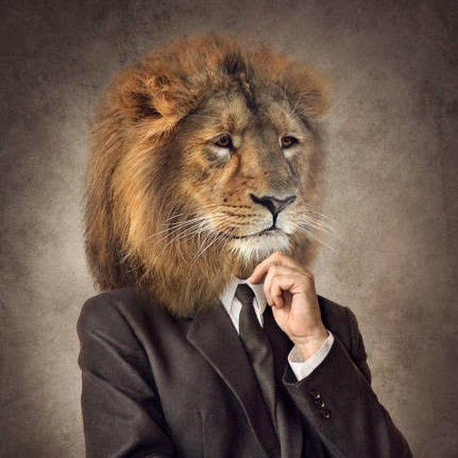 Тигр в галстуке