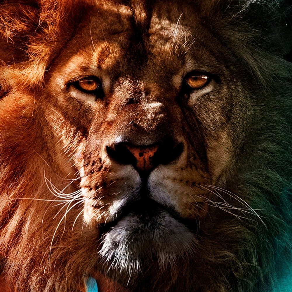 Лев картинки