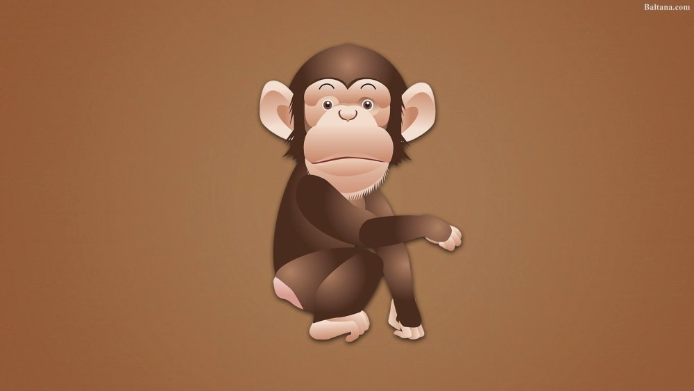 Обезьяна Минимализм