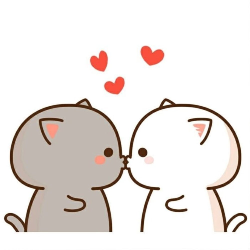 Кавайные котики парочка