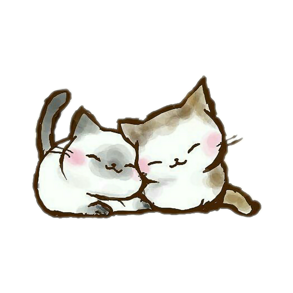 Котики в обнимку картинки