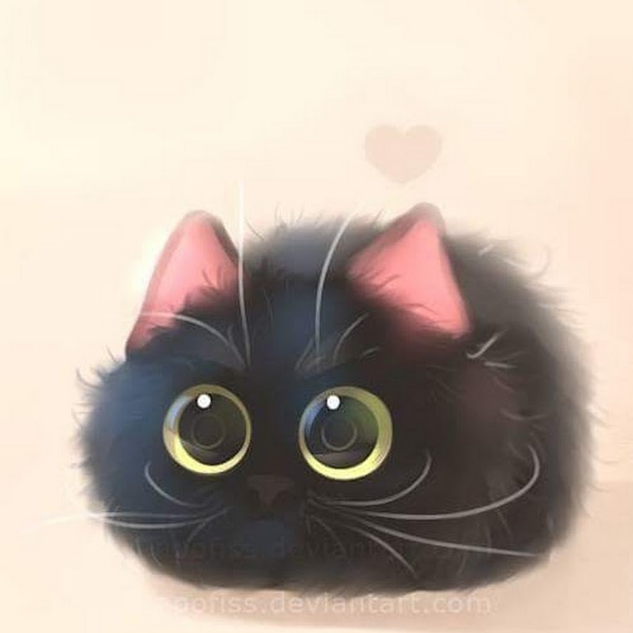 Котята ищут дом