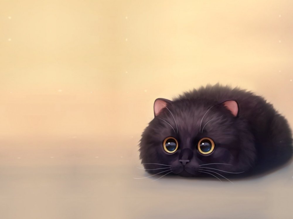 Милые животные на темном фоне