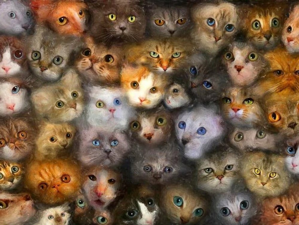 Множество котов