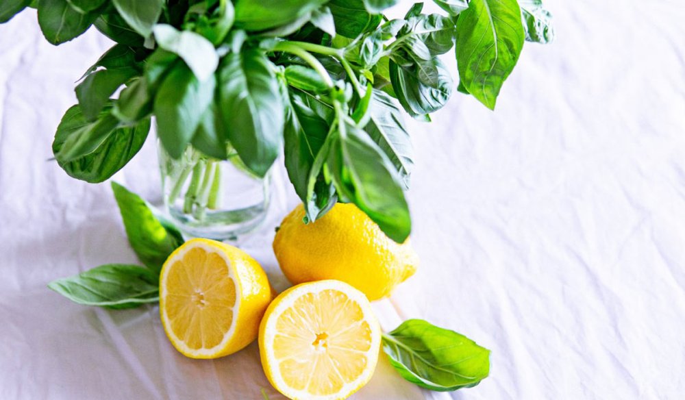 Лаймовый цвет