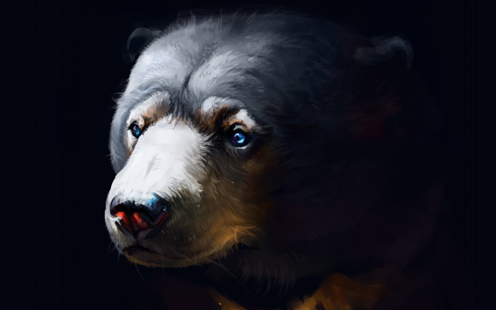 Картинки на рабочий стол мишки плюшевые