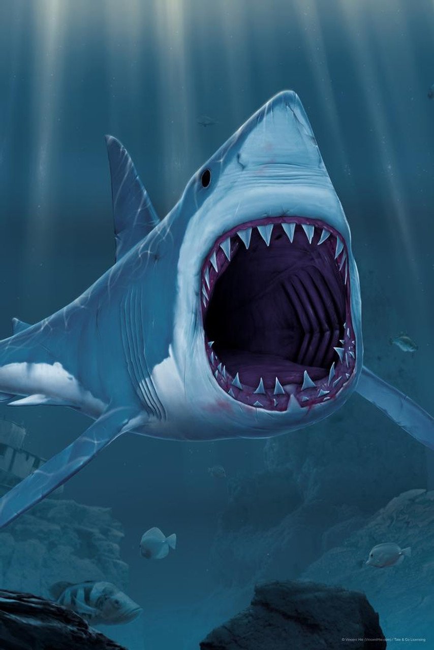 Акула гонится за человеком