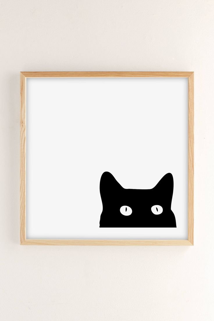 Кот выглядывает на белом фоне