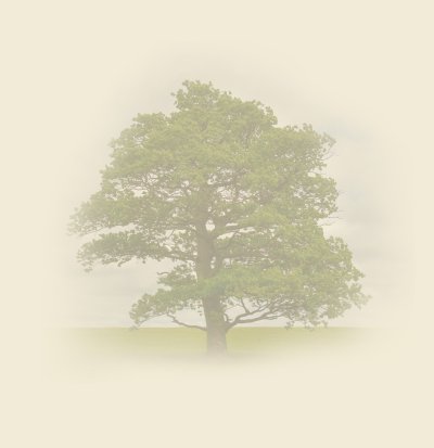 Фон для генеалогического древа