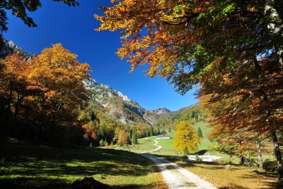 Природа слайд шоу