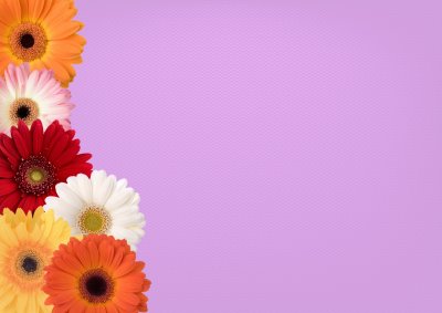 Красивые презентации с цветами