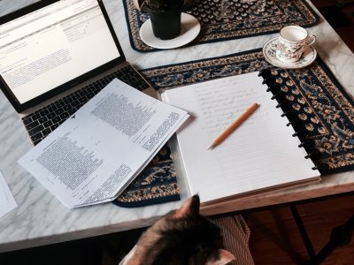 Обучение Эстетика