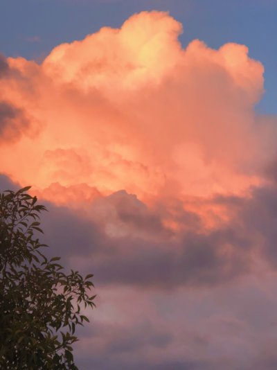 Розово оранжевое небо