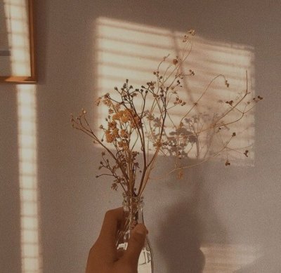 Эстетик в бежевых тонах