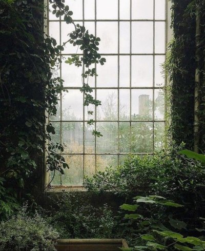 Окно в природу