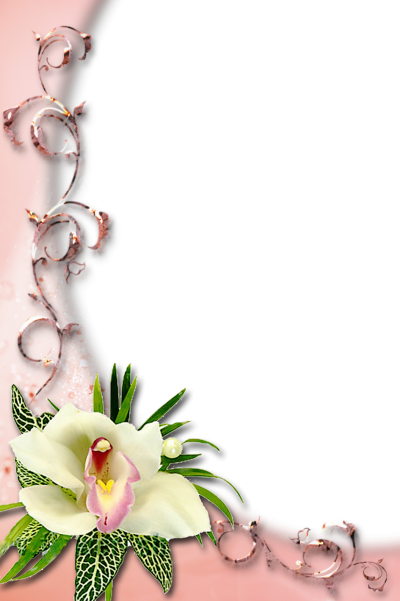 Красивая Цветочная рамка