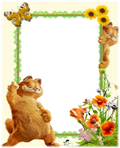 Прикольная рамка с днем рождения