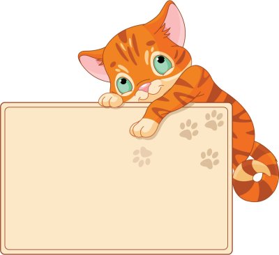 Кот с табличкой для надписи