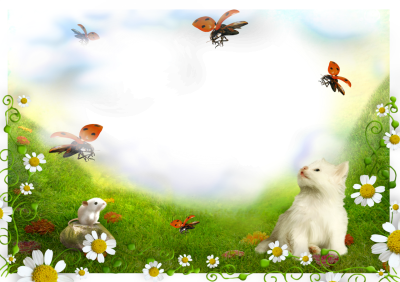 Рамка для проекта домашние питомцы